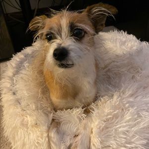 Meet your Posher, Toan